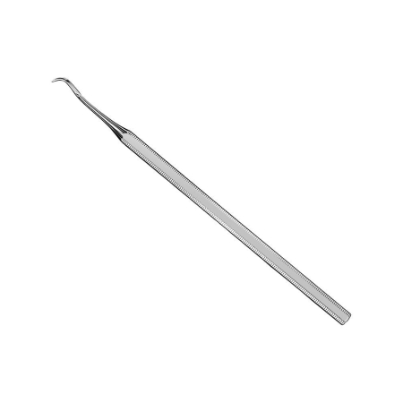 Provisional prosthesis lifter